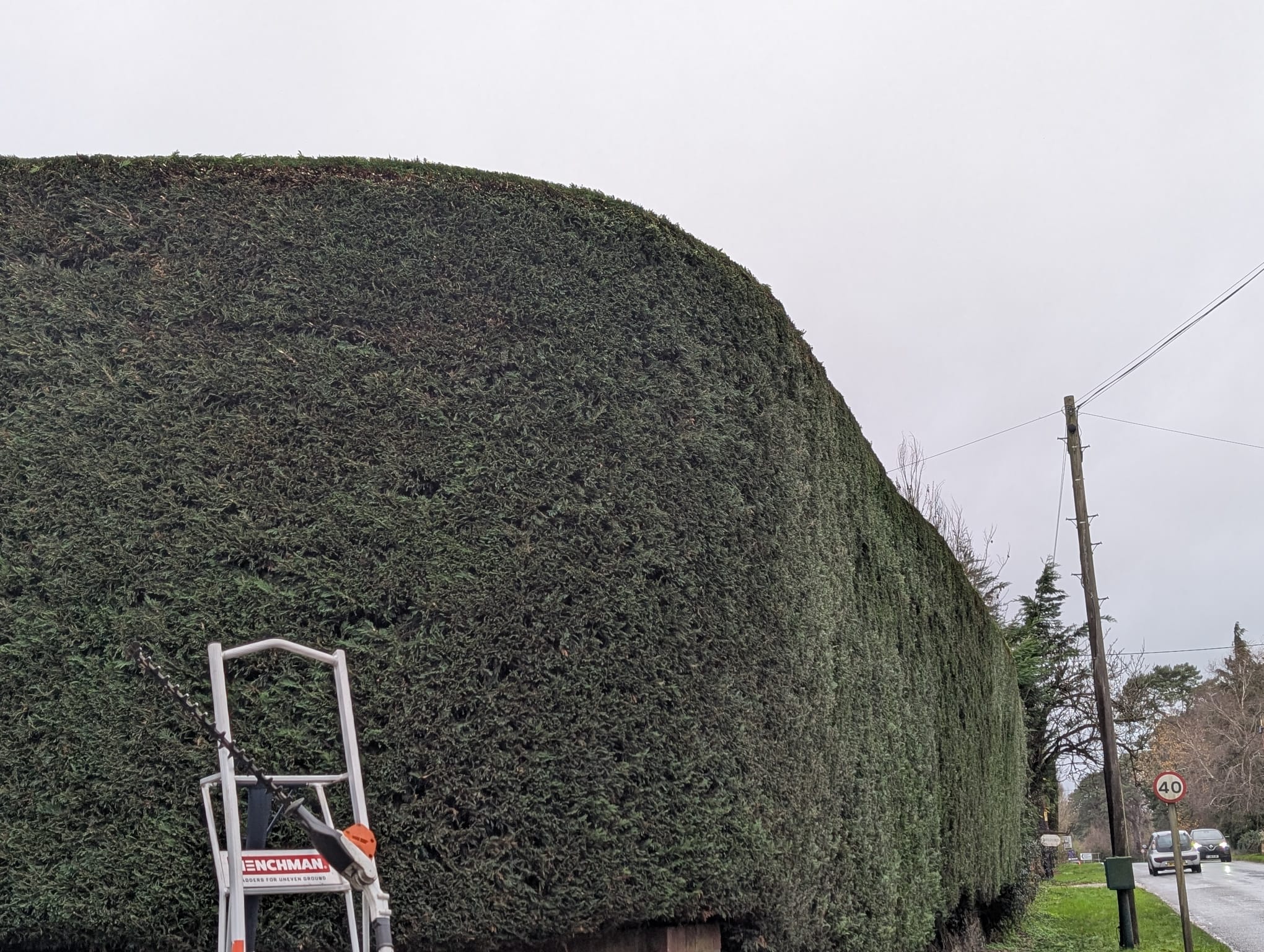 Expert Shaping